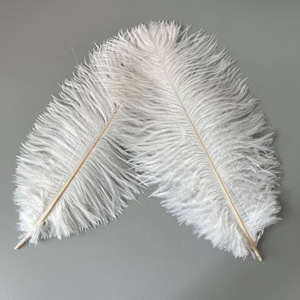 Plume blanche 25-30 cm (10-12 pouces) bricolage coloré <span class=keywords><strong>moelleux</strong></span> petite plume d'autruche décorative à vendre <span class=keywords><strong>pas</strong></span> <span class=keywords><strong>cher</strong></span> - Product Image 1