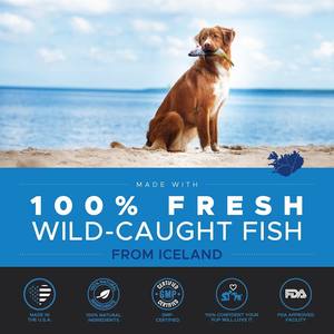 Pesce salmone Alaskan selvaggio per cani supplemento liquido da 16 once supporto sistema immunitario del cuore e pelle + cappotto - Product Image 4