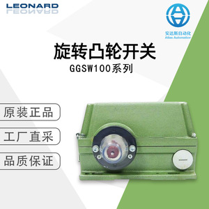Interruptor Rotativo Leonard Serie GGSW 500 V IP33 para Uso Industrial - Product Image 5
