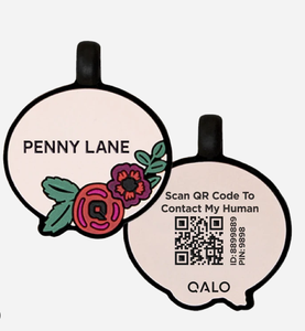 Hot Selling <strong>Personalised</strong> Silicone Name ID <strong>Tags</strong> for <strong>Dog</strong> and Cat - Product Image 1