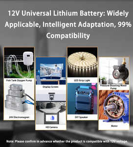Paquete de Baterías de Polímero de Litio de 12V 20000mAh - Alta Capacidad de Energía para Acampar/Sistemas Solares para Exteriores/Generadores Portátiles - Product Image 6