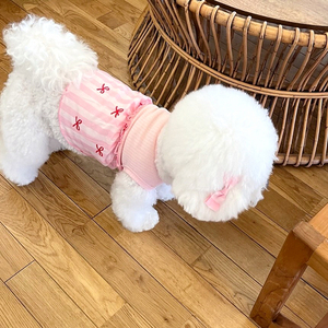 Venta al por mayor de ropa de lujo para mascotas 2025 primavera/verano nueva ropa para perros y gatos fiesta rayas perro chaleco vestido Bowknot falda - Product Image 5