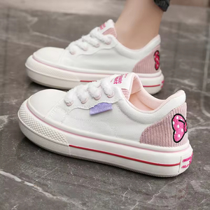 2026 New Breathable Canvas Lace-up Women's Shoes <b>Summer</b> Autumn Fashion Trend Student Campus Sports Casual <b>Flats</b> - Product Image 2