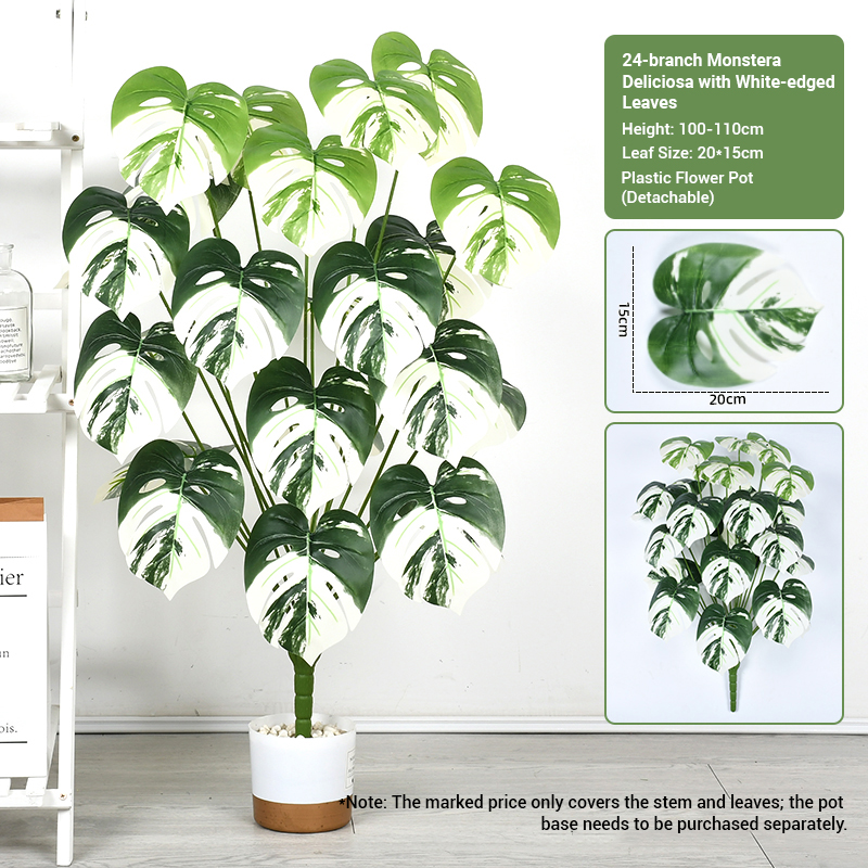 24 fourchettes blanches, motif feuille de tortue (100-110 cm)