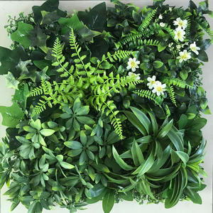 Piante naturali arte della parete vere piante con felci esotiche-decorazioni verdi per portare la natura nella tua casa e nello spazio di lavoro-piante da ufficio - Product Image 6