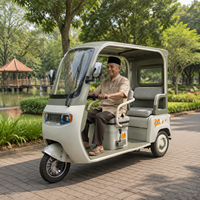 Véhicule de mobilité pour seniors en gros, tricycle électrique 2 places, véhicule à trois roues pour les déplacements en milieu