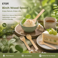 Cuillère-fourchette jetable en bois de bouleau biodégradable 80mm 147mm, ensemble cuillère-fourchette à gâteau compostable, pack d'ustensiles de dégustation de desserts
