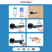 Poignée de porte intelligente étanche Tuya TTLock, serrure intelligente biométrique avec empreinte digitale, mot de passe, entrée sans clé pour portes en bois