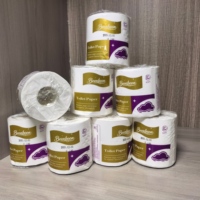 Papier toilette en rouleaux, papier toilette doux, écologique, certifié OEM, personnalisé, bon marché, 2 plis, pâte de bois vierge