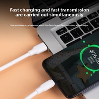 Câble en PVC épaissi de style python 120W, charge rapide 6A, 1m, vente en gros, compatible avec les ports Micro USB et Type-C