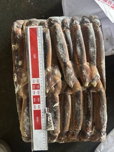 Calamar <span class=keywords><strong>Illex</strong></span> argentin économique pour l'exportation, provenant d'un fournisseur chinois - Product Image 2