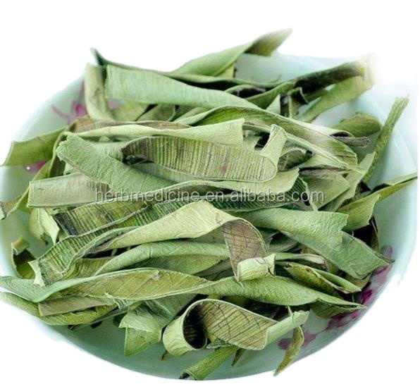 Aloe Green Color