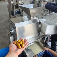 Enkel/Dubbel Kanaals Ananas & Mango Fruit Schil-, Ontpit-, Klopmachine, Pureermachine, Motor, Hoge Productiviteit, 380V