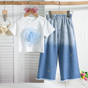 Nuovo Completo Estivo per Ragazze, Set <span class=keywords><strong>con</strong></span> Rosa <span class=keywords><strong>Blu</strong></span> Tridimensionale, Pantaloni Larghi in Denim Sfumato, Set Due Pezzi <span class=keywords><strong>con</strong></span> Stampa a Caldo di Stelle - Product Image 3
