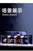 Nouveau modèle d'aquarium en verre ultra-blanc multi-compartiments avec filtre arrière isolant pour la culture de petits poissons de combat dans le salon