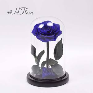 هورد بسعر الجملة-عناصر الهدايا الفاخرة هدية فاخرة مع الحفاظ على الملاكمة في قبة زجاجية - Product Image 4