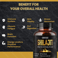 Comprimé de Shilajit Himalayen Riche en Acide Humique et 85 Minéraux pour Renforcer la Force Masculine - Capsule de Shilajit