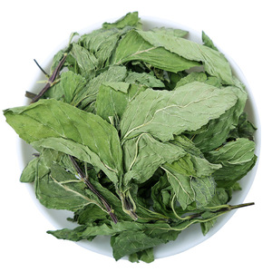 Feuilles de <span class=keywords><strong>menthe</strong></span> <span class=keywords><strong>poivrée</strong></span> de Chine de haute qualité en gros – Variété complète de feuilles de Mentha - Product Image 1