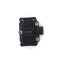 Bobine d'allumage pour VW/Audi/SEAT/SKODA - Remplace 032905106, BERU 0040402003
