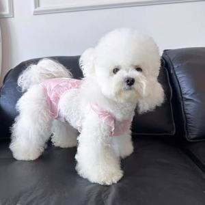 Bluetimi Culotte menstruelle pour chien rose en polyester, protection contre les fuites pour animaux de compagnie, quatre saisons - Product Image 2