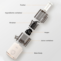 Oem/Odm Groothandel Elektrische Slow Juicer Machine Modern Design Koude Pers Plastic Mes Voor Het Kauwen Van Fruit Voor Huishoudelijk Gebruik Rv