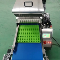 Machine de formage à moule pour bonbons au gingembre sucré en quartiers, pour la production de chocolat bon marché