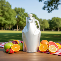 Sac à eau personnalisé avec robinet minéral intégré, sacs de stockage pour boissons gazeuses, sacs à eau avec robinet intégré