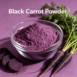 Poudre concentrée de <span class=keywords><strong>carotte</strong></span> <span class=keywords><strong>noire</strong></span> de qualité alimentaire en vrac, colorant naturel anthocyanine, teinte rouge-violette pour boissons et jus de fruits - Product Image 2