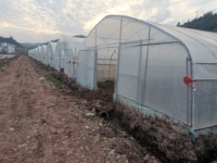 Serre agricole en plastique entièrement automatique de 2 m, technologie économique de Baolida
