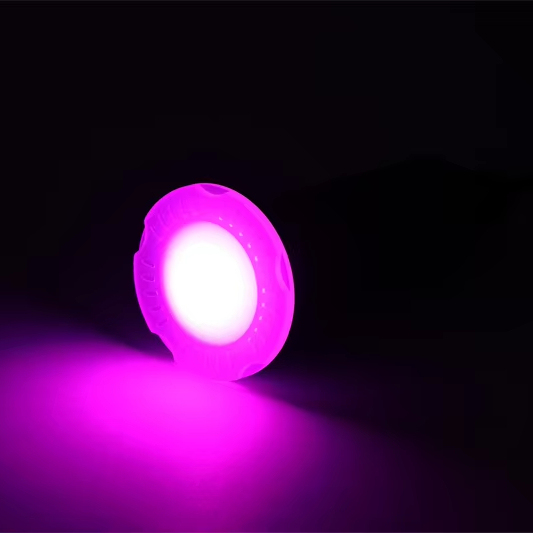 RGB RGBW 1.5 Inch IP68 Pool Lights 12ACV 12W 18W Underwater LED Light Round Lens for New Pool and Replacement Market