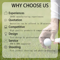 Grosir 2 Buah Surlyn Golf Range Pelatihan Bola Golf Biru Matte Jarak Mengemudi Bola