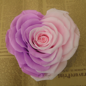 <span class=keywords><strong>Flores</strong></span> Encurtidas para el Día <span class=keywords><strong>de</strong></span> San Valentín, Día <span class=keywords><strong>de</strong></span> la Madre, Decoraciones <span class=keywords><strong>de</strong></span> Boda, Rosa Preservada en Forma <span class=keywords><strong>de</strong></span> Corazón Natural, Elegante y Duradera, 9~10 cm - Product Image 6