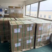 Groothandel Fabrieks Prijs Automatische Citroenenpers 80kg/uur Hoge Capaciteit Sapcentrifuge NS2000E-6 Direct Verzending