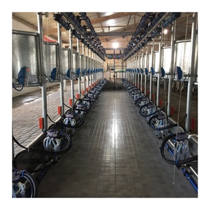 Attrezzatura per Sala di Mungitura a Spina di Pesce Serie 9JY per Allevamenti di Bovini in Vendita - Product Image 1