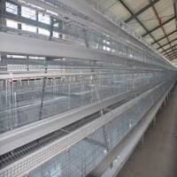 Cage à poules pondeuses à batterie, type A, 3/4 niveaux, 96/128 oiseaux, cage à poules pondeuses, 1000 poulets, élevage avicole