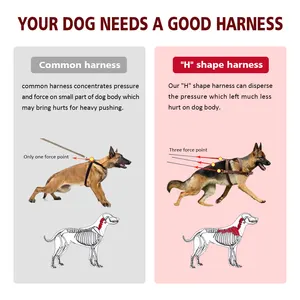 本物の革の犬のハーネスペットトレーニング製品大型犬のための強力な引っ張りハーネスベストジャーマンシェパード犬の敏捷性製品
