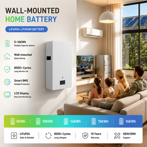 แบตเตอรี่ลิเธียม Lifepo4 แบบติดผนัง 48V 51.2V 100Ah 200Ah 5kWh 10kWh 15kWh 16kWh สำหรับติดตั้งบนผนัง - Product Image 2