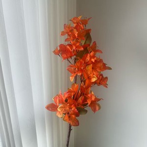 Single Stem <b>Artificial</b> Bougainvillea Multi-color Realistic Faux <b>Flower</b> Branch <b>for</b> DIY Floral <b>Arrangement</b> Decoration - Product Image 6