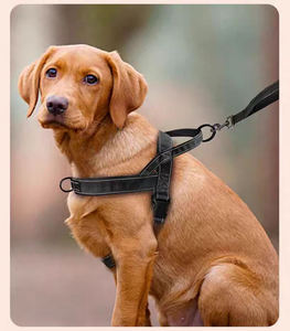 Gepersonaliseerd Voor Gemakkelijk Uitlaten Hondentuig Sport-Mode-Stijl Nylon Materiaal Explosieveilige Impact Veiligheid Borst Huisdier Harnas - Product Image 3