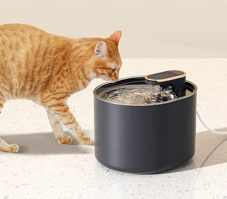 Neueste USB-Ladegerät PET Cat Trinkbrunnen 3L Automatische Katze Wasser brunnen Spender Trinkschale für Katzen Hund