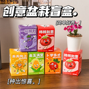 Creative Plant <b>Blind</b> Box <b>Mini</b> Potted Plants Paper Rectangle Tabletop Vase Home Office Study Decor Back To School - Product Image 3