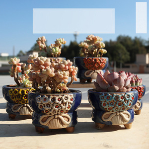 Pot à succulentes moderne en céramique émaillée à large ouverture avec trou de drainage respirant - Product Image 1