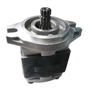 Bomba de Aceite Hidráulica GANGLI de Calidad de Fábrica SGP SGP2A30L723 SGP2A52L723 SGP1A31 9L438 Engranaje 0.5 HP 100 Bar 1/4 Pulgada - Product Image 1