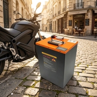 Batterie Li-ion 72V 40Ah 48V 100Ah pour trottinette 60V et camion électrique, 2000 cycles, avec protection thermique, pour commande en gros