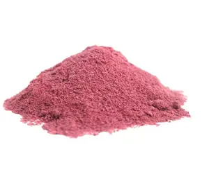 Factory Supply Sour Full Vc Vitamin C Acerola Cherry Fruit Extract Powder With Best Price