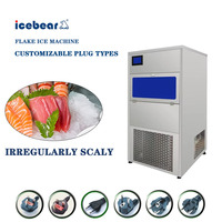Machine à glace en flocons de 100kg la plus vendue avec production rapide de glace et efficacité de production élevée