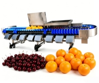 Hoge capaciteit continue fruit- en groentesorteermachine met instelbare sorteeropening