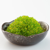 Œufs de poisson volant Tobiko assaisonnés saveur wasabi vert, surgelés IQF pour sushis authentiques, poke bowls, vente en gros, boîte de 1 kg