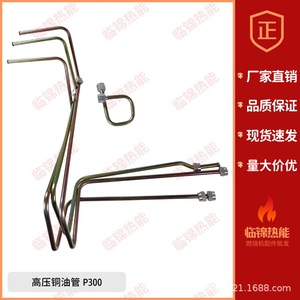 Brûleur à huile à haute pression RIELLO P300 en cuivre pour les industries de chaudières, état neuf et d'occasion - Product Image 2