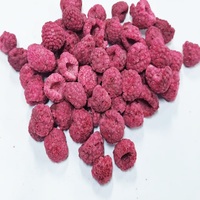 Frutos Secos de Frambuesa Liofilizados, Crujientes y Naturales, Servicio Personalizado, Suministro al por Mayor Directo de Fábrica con Muestra Gratuita